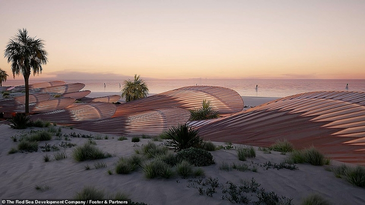 Thiết kế tuyệt đẹp cho hòn đảo cửa ngõ trên Biển Đỏ của Saudi Arabia