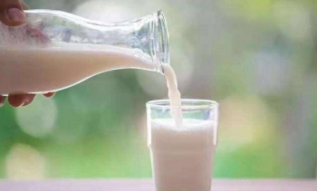 Vì sao phụ nữ không nên uống sữa mỗi ngày?
