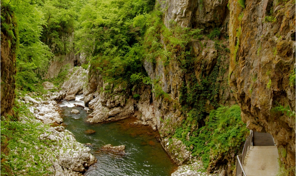 khoi nguon cam hung cho ban den tham slovenia