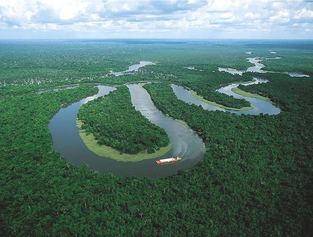 Hệ sinh thái rừng Amazon bị đe dọa nghiêm trọng