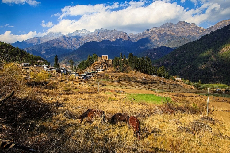 bhutan-giong-nhu-xu-so-than-tien-qua-loi-ke-cua-du-khach-viet-13