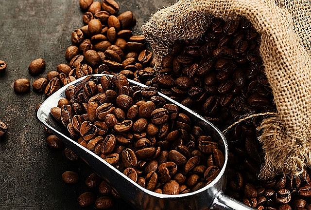 Giá cà phê hôm nay ngày 29/10: Giảm nhẹ 100 đồng/kg