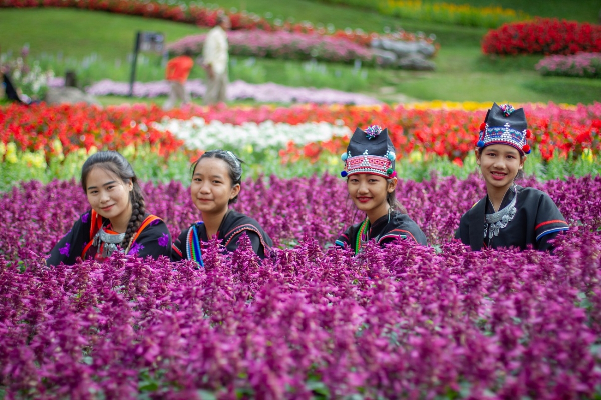 sac mau mien nui doi tung