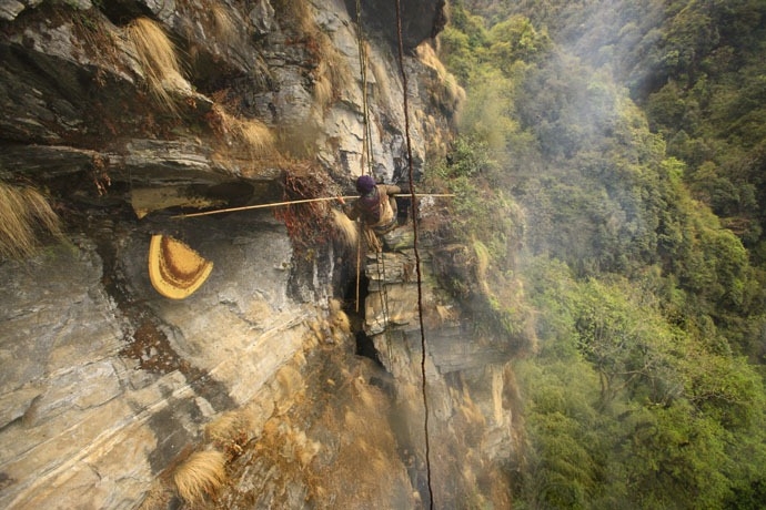 nghe san mat ong lau doi cua nguoi dan nepal