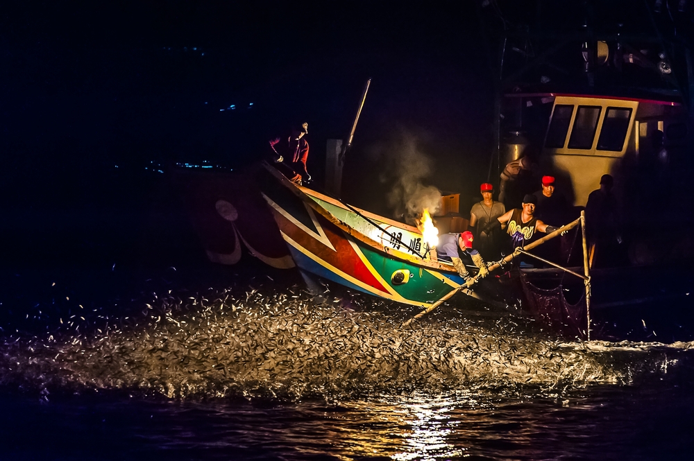 Dùng lửa lưu huỳnh đánh bắt cá ở Đài Loan