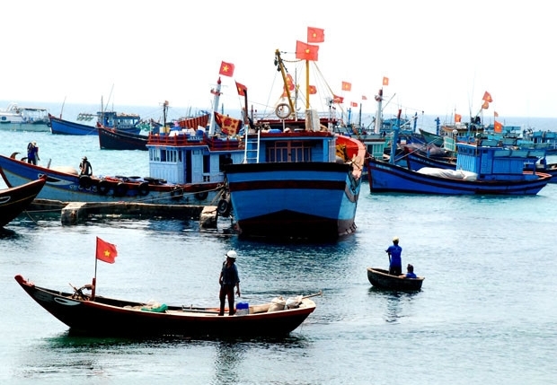 Tàu cá Việt Nam bị Hải giám Trung Quốc xua đuổi ngay tại Hoàng Sa