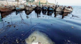 Cục Hải dương Trung Quốc bị kiện vì vụ thủy triều đen
