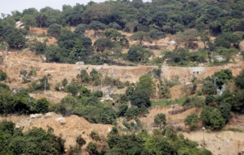 Đà Nẵng phát hiện nhiều sai phạm tại dự án “phá nát rừng Sơn Trà”