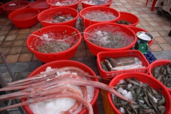 Đà Nẵng công bố 49 điểm bán hải sản sạch