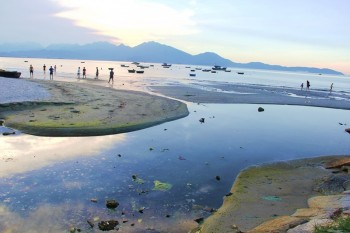 Đà Nẵng: Hoặc là khu dân cư ngập úng hoặc là bãi biển mất vệ sinh