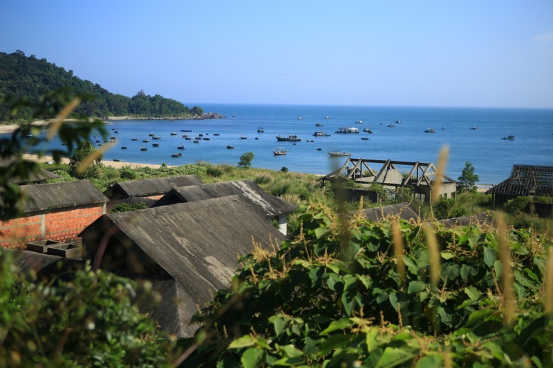 da nang cong bo bao cao gui chinh phu ve cac du an o son tra