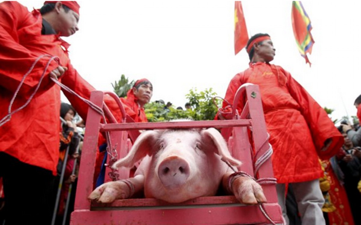 Lễ hội chém lợn ở Bắc Ninh