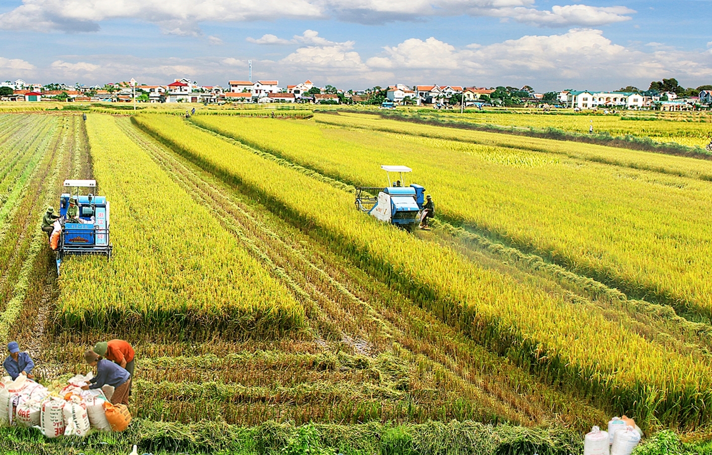 Phát triển bền vững là chủ đề quốc tế quan trọng