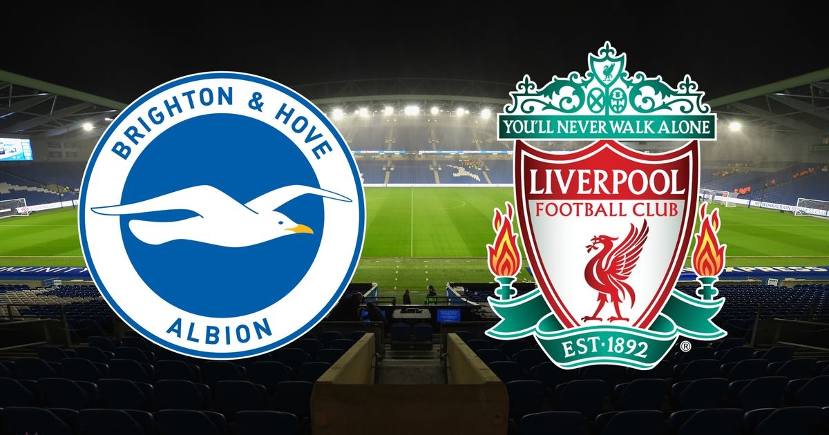 xem truc tiep bong da brighton vs liverpool o dau