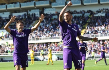 Xem trực tiếp bóng đá Udinese vs Fiorentina (SERIE A), 21h ngày 3/2