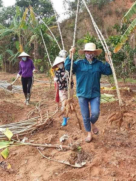 Người Sơn Lôi 