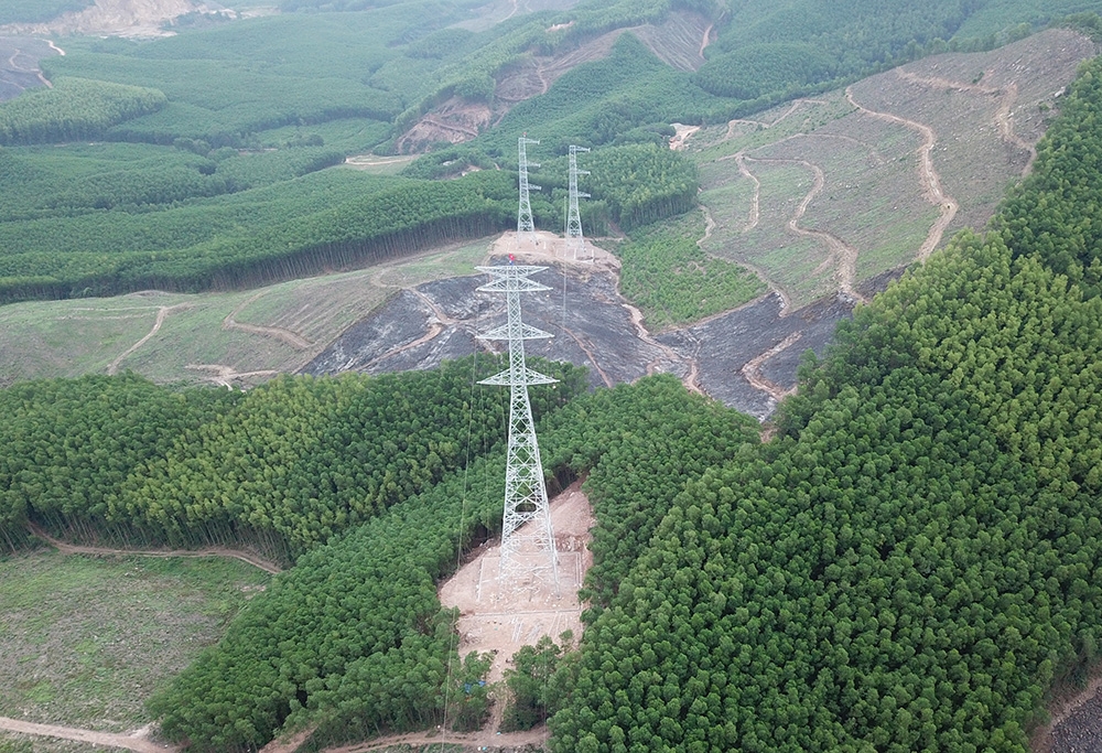 Vướng thủ tục chuyển đổi đất rừng, nhiều dự án truyền tải điện phải kéo dài
