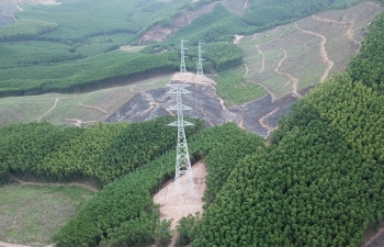Vướng thủ tục chuyển đổi đất rừng, nhiều dự án truyền tải điện phải kéo dài