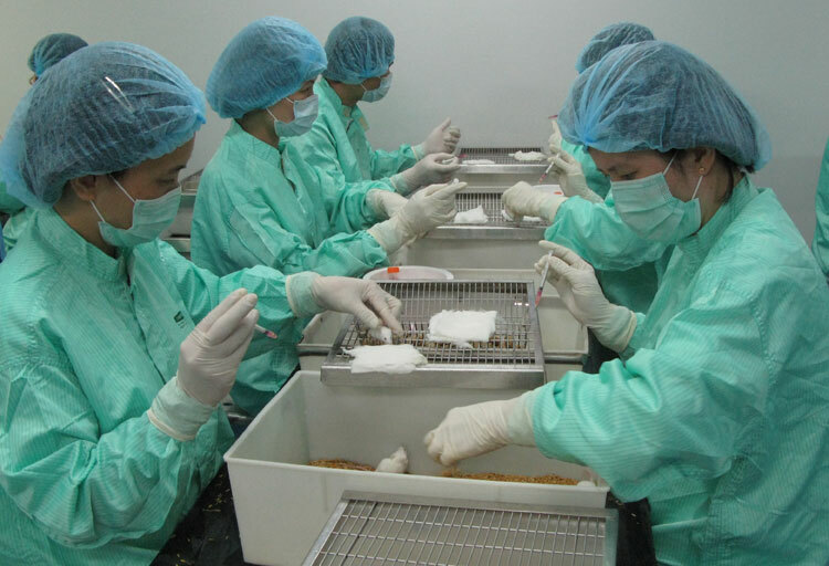 Việt Nam dự kiến có kết quả vaccine Covid-19 trong 12 tháng tới