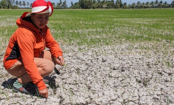 Chuyên gia Mỹ: "Trung Quốc có thể giữ 50% nước Mekong vào mùa khô"