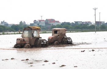 Các hồ thủy điện xả 4,17 tỷ m3, hơn 82% diện tích gieo cấy vụ Đông Xuân có nước