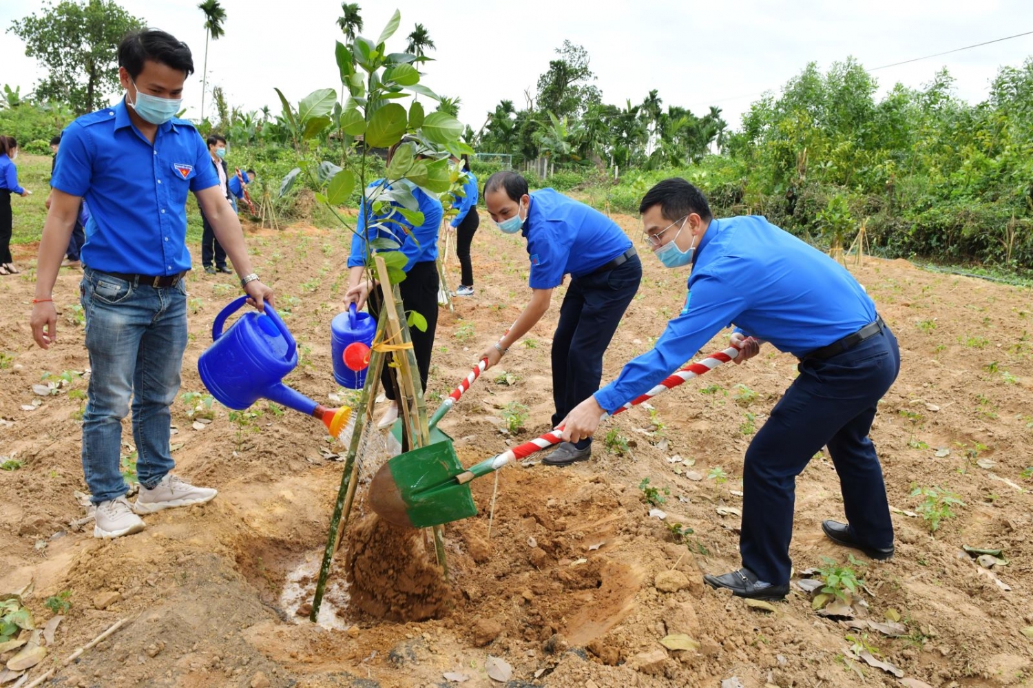 BSR ra quân trồng cây tại các điểm di tích lịch sử văn hóa tỉnh Quảng Ngãi