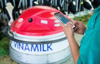 “Resort” bò sữa Vinamilk Tây Ninh: Ngôi nhà lý tưởng của những cô bò hạnh phúc!