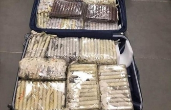 Tạm giữ 3.000 điếu xì gà từ Cu Ba nhập về Đà Nẵng