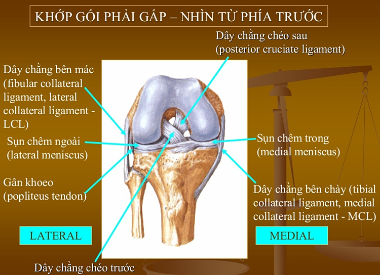 Đứt dây chằng chéo trước - ác mộng của giới cầu thủ