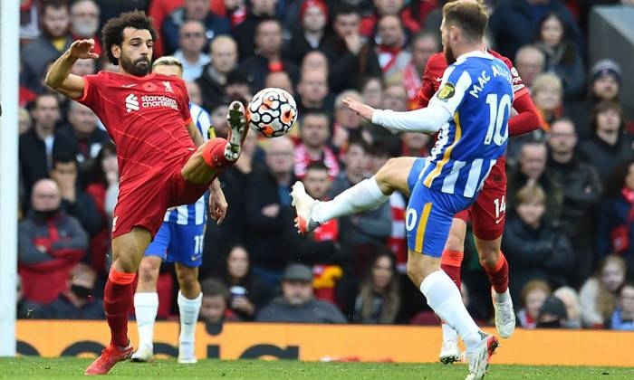 Link xem trực tiếp Brighton vs Liverpool (Ngoại hạng Anh), 19h30 ngày 12/3/2022