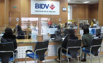 BIDV tiên phong hạ lãi suất cho vay hỗ trợ doanh nghiệp
