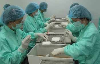 Việt Nam tìm cách phát triển nhanh vaccine Covid-19