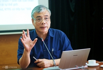 Ông Trần Đình Thiên: "Nên cứu doanh nghiệp lớn"
