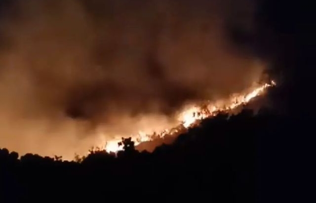 Cháy lớn trên bán đảo Sơn Trà