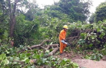 Những người giữ ánh sáng