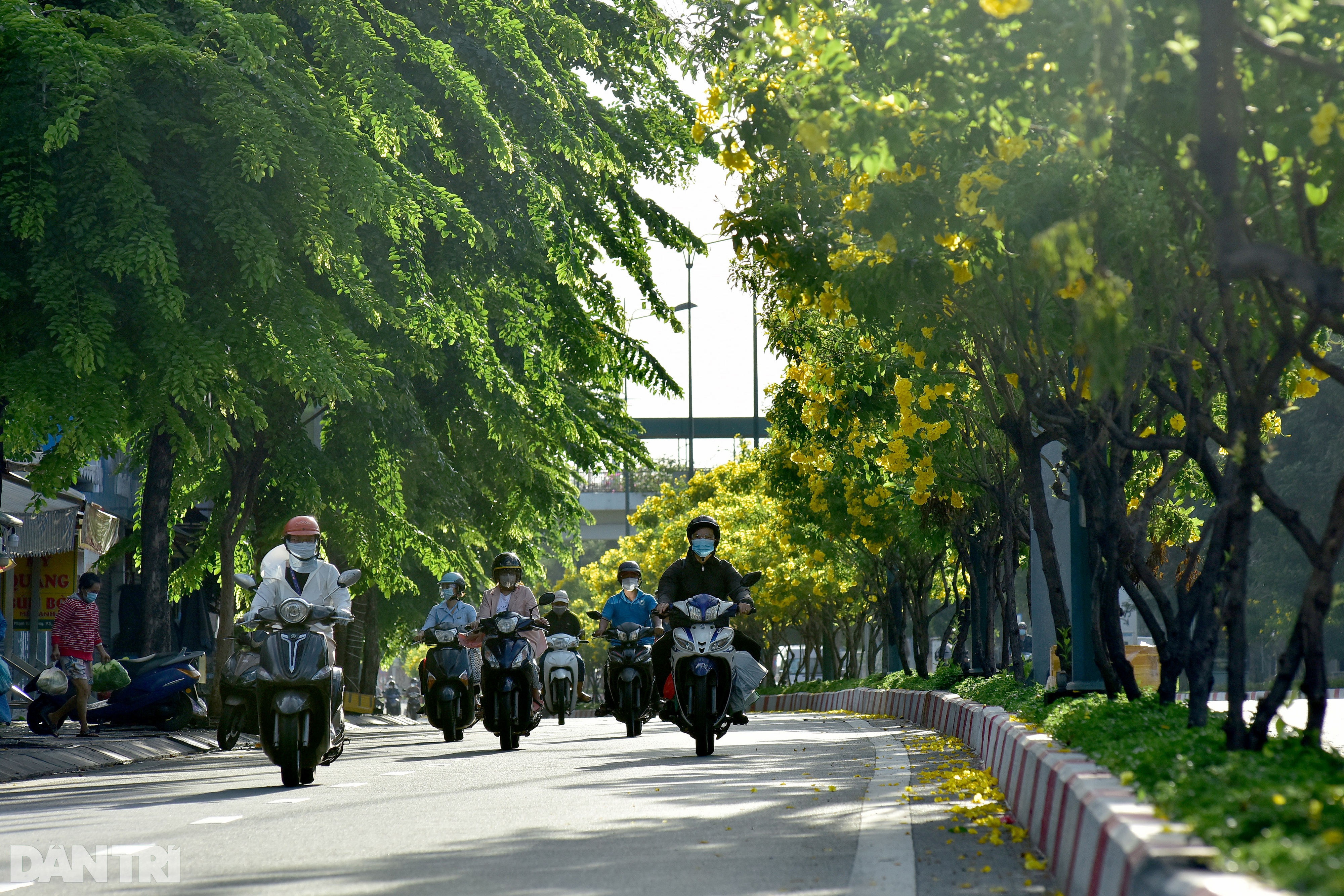Đường phố Sài Gòn ùn ùn xe cộ, nhiều người bị xử phạt ra ngoài không lý do - 12