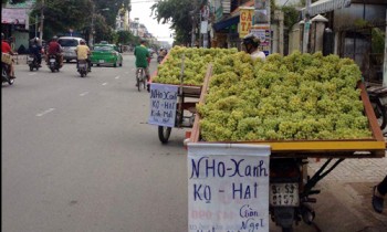 Nho xanh Trung Quốc đổ bộ đường phố Sài Gòn