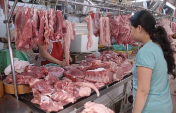 Chính phủ chỉ đạo triển khai các giải pháp ổn định thị trường thịt lợn