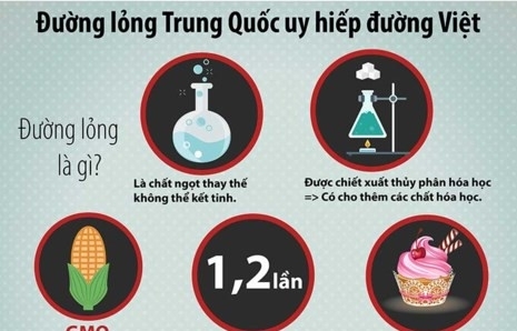 Hiệp hội Mía đường: Đường lỏng nhập khẩu từ Trung Quốc, Hàn Quốc có thể làm hỏng gan!