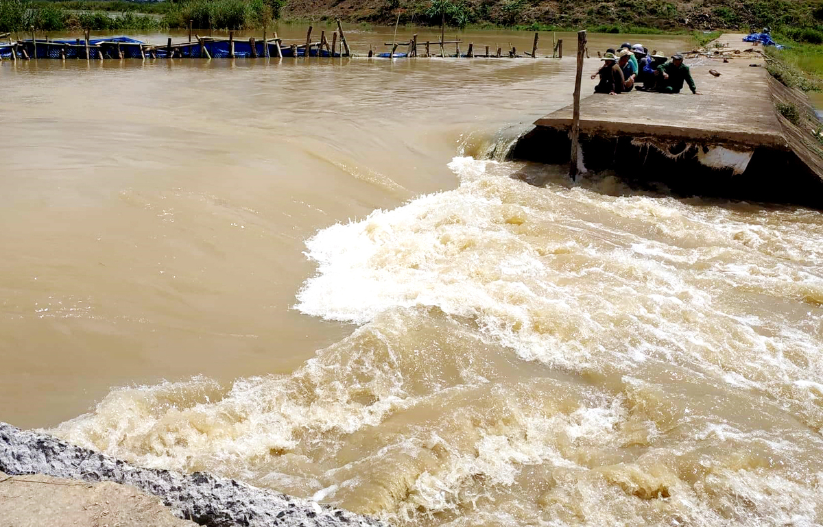 Vỡ đê bao ở Đăk Lăk, hơn 1.000 ha lúa bị ngập