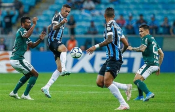 Link xem trực tiếp bóng đá Gremio vs Palmeiras, 7h30 ngày 21/8