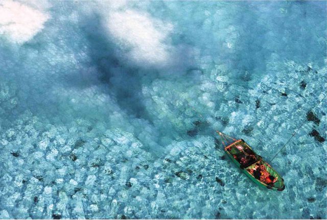 “Cơn khát” sò tai tượng của đội tàu Trung Quốc tàn phá Biển Đông