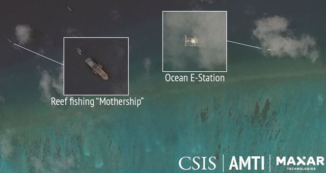 “Cơn khát” sò tai tượng của đội tàu Trung Quốc tàn phá Biển Đông