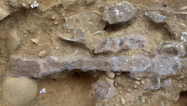 Thợ săn kho báu tìm thấy báu vật 3.000 năm tuổi từ thời đồ đồng