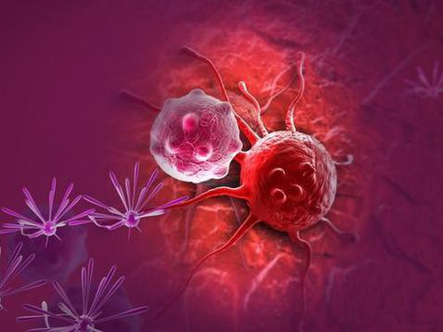 3 điểm đặc biệt của tế bào ung thư khiến chúng trở nên đáng sợ
