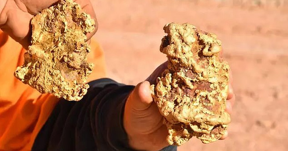 Hai anh em chuyên tìm kho báu đào được 2 cục vàng "khủng" trị giá 8 tỷ đồng
