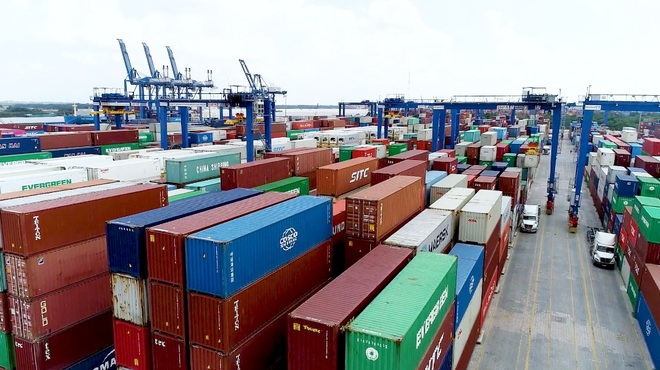TPHCM: Cảng Cát Lái sắp quá tải vì hàng tồn bãi - 3
