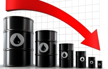 Giá xăng dầu hôm nay 21/8 đồng loạt giảm mạnh