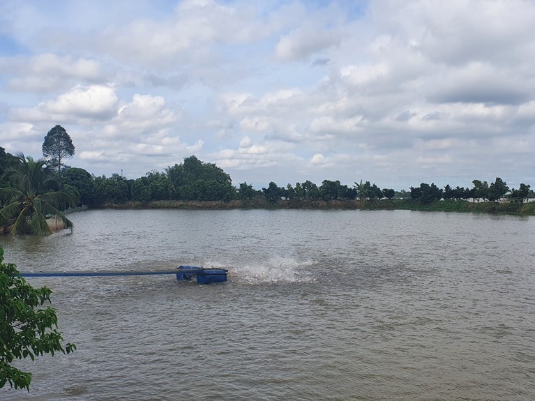 Thúc đẩy Đồng bằng sông Cửu Long phát triển bền vững
