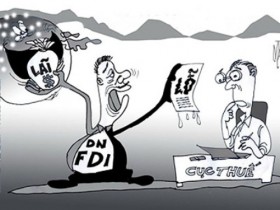 Lại chuyện lỗ trăm tỉ ở doanh nghiệp FDI